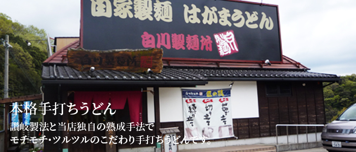 白川製麺所